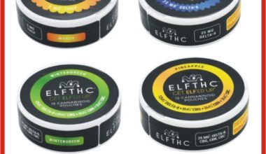 ElfTHC Delta-8 Nicotine-Free Pouches Price in Pakistan | Buy Now